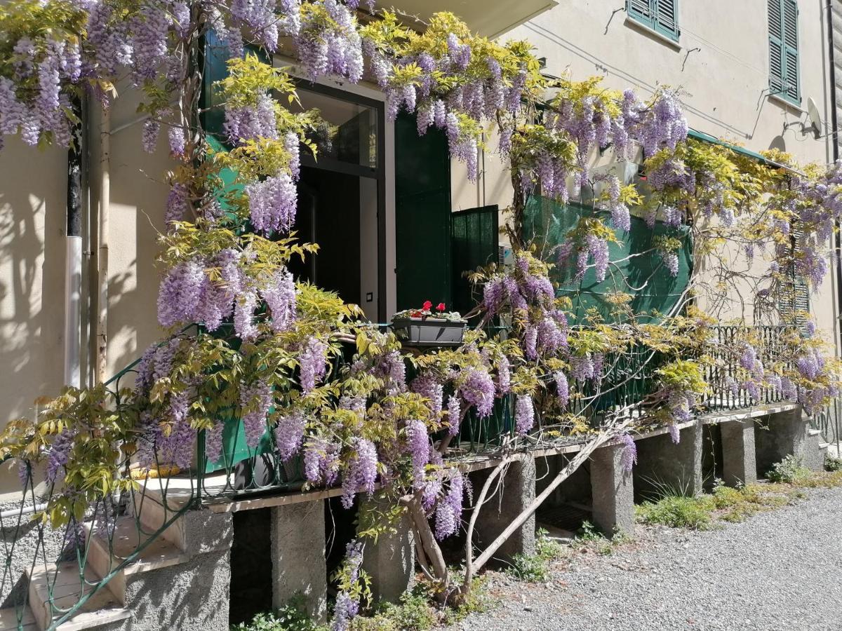 Il Giardino Di Elettra - Freeparking Aparthotel Génova Exterior foto