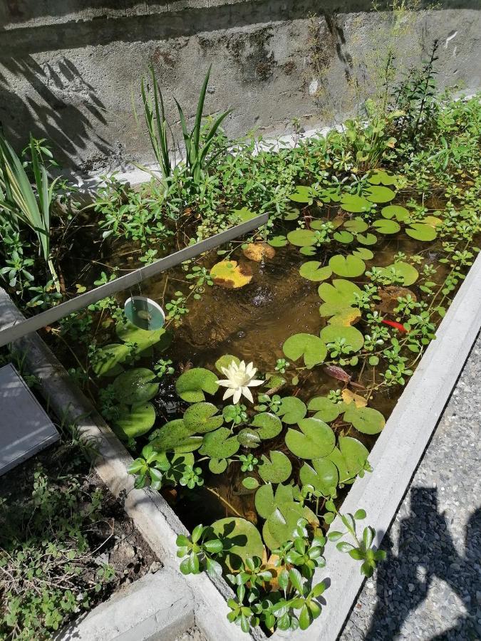 Il Giardino Di Elettra - Freeparking Aparthotel Génova Exterior foto